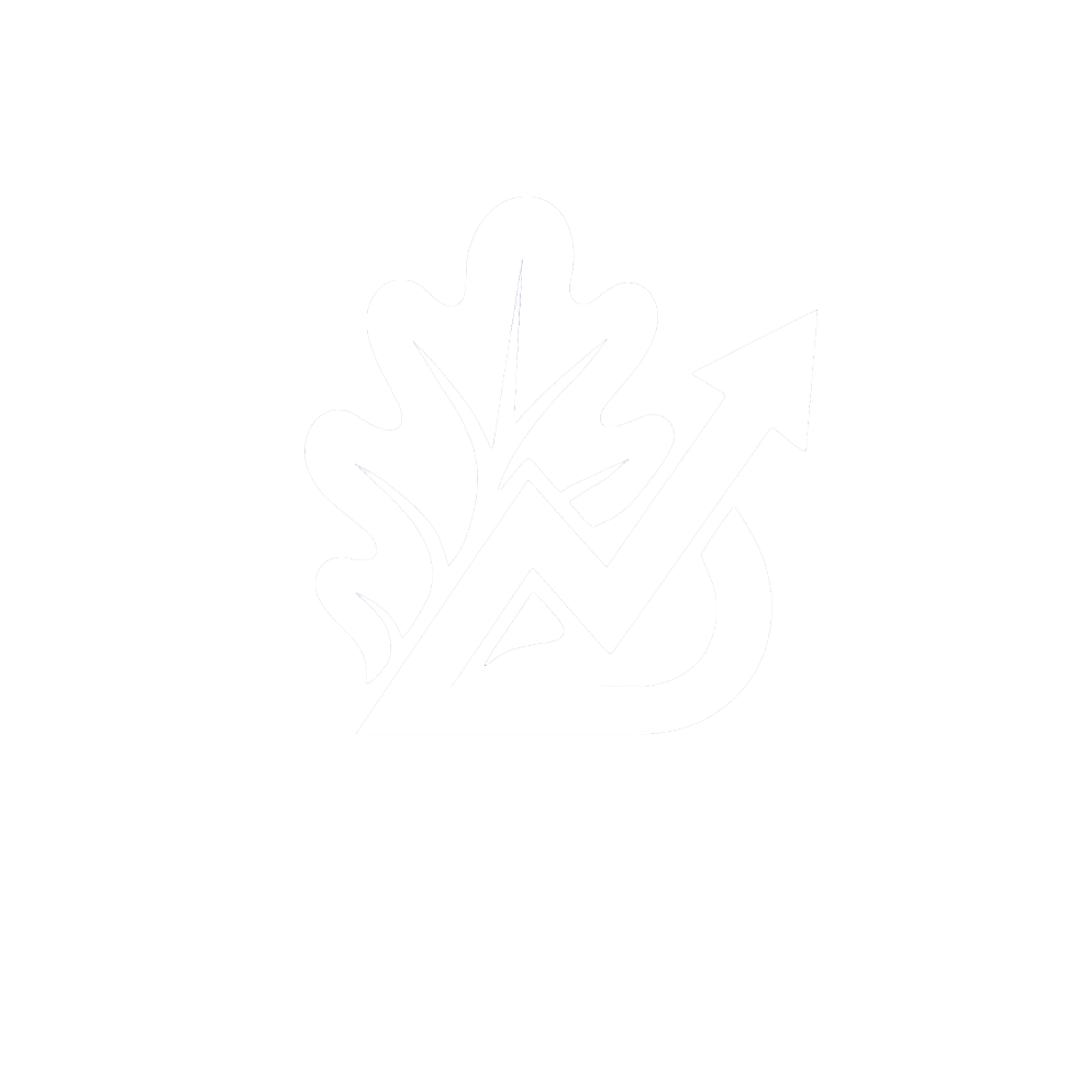 Blick Asset Management Logo